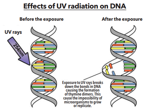 Technologie UV